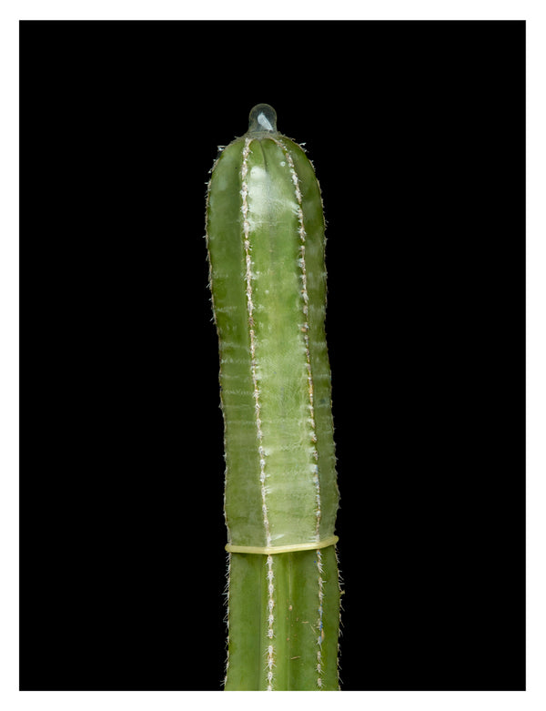 ARNO BANI - “Condom”, Cactus Party, 2017