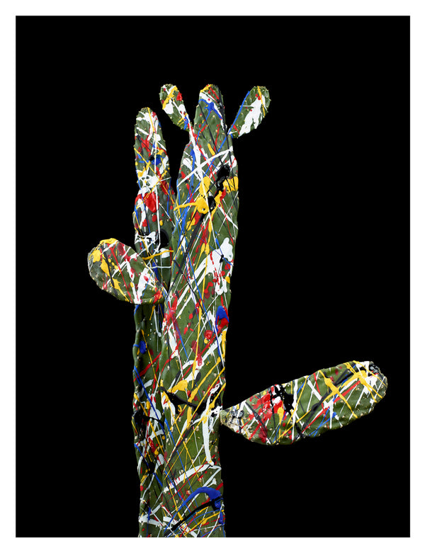 ARNO BANI - “Pollock”, Cactus Story, 2017