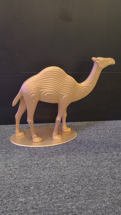 GEORGE EMRAZIAN - Camel