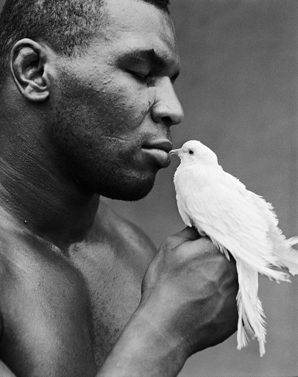 Michel Comte - Mike Tyson et la colombe