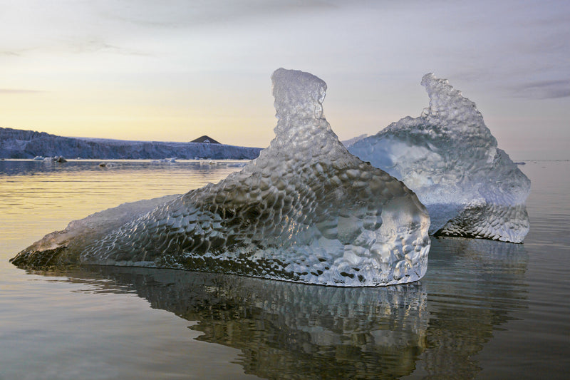 Michel Rawicki - Norvège / Svalbard / Juillet 2015