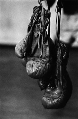 Thierry Le Gouès - Havana Boxing Club "Boxing Gloves"