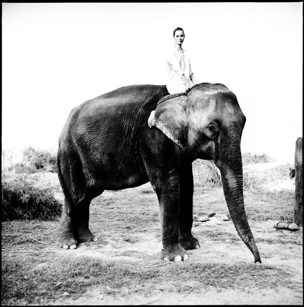 Arthur Elgort - Kate on the Elephant , Népal 1994 pour Vogue