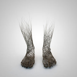 Gregoire A. Meyer - Roots