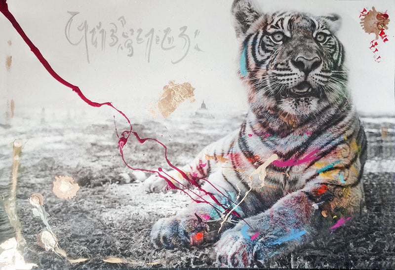 Arno Elias - Tiger Color